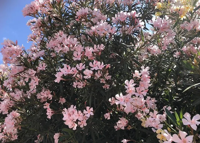 Con Impresionantes Vistas Y Piscina Apartment *
