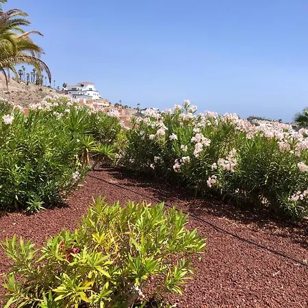 Apartman Con Impresionantes Vistas Y Piscina *