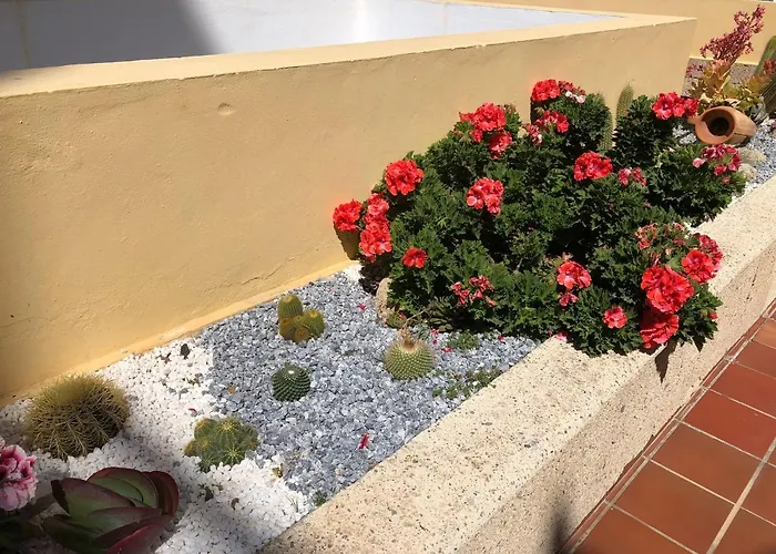 Con Impresionantes Vistas Y Piscina Apartment *